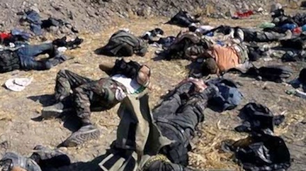 İraqın qərbində yüzlərlə terrorçu öldürülüb