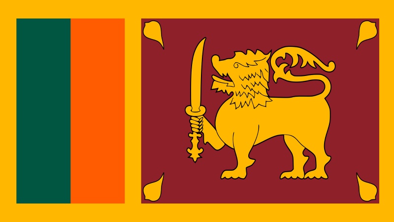 سری لنکا میں فوج کے اسلحے کے گودام میں بم دھماکے