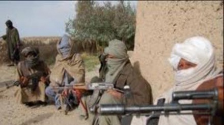  9 “Taliban” yaraqlısı öldürülüb