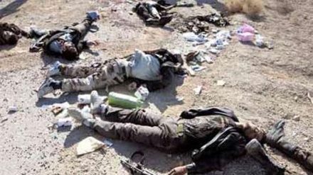 İraqın Səlahəddin və Ələnbar vilayətlərində 100 terrorçu öldürülüb