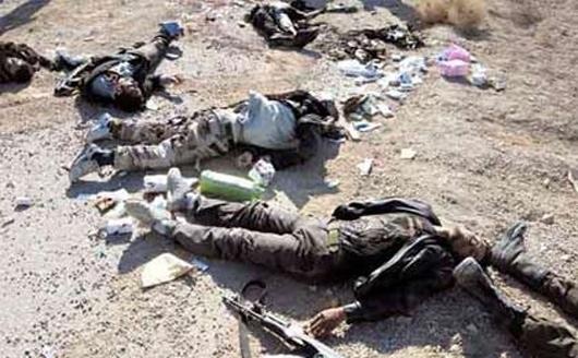 İraqın Səlahəddin və Ələnbar vilayətlərində 100 terrorçu öldürülüb