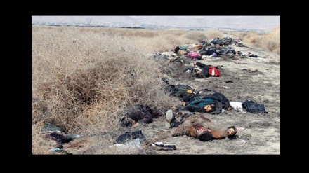 شام: دہشت گرد گروہ داعش کے متعدد کمانڈر ہلاک