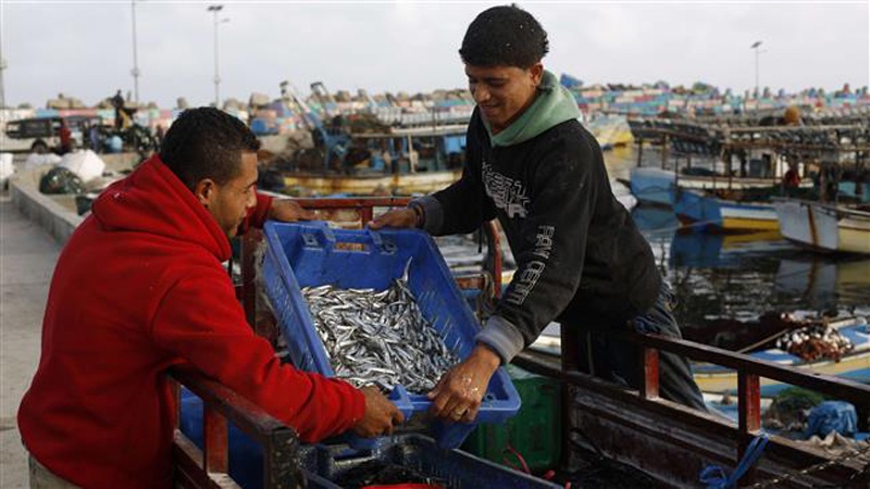 فلسطینی ماہی گیروں پر صیہونی فوجیوں کا ایک بار پھر حملہ