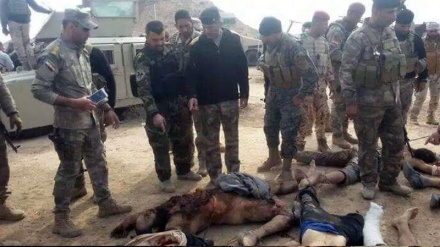 İraqın qərbində İŞİD-in bir qrup başçısı öldürülüb