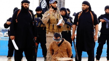 İŞİD Suriyada öz fərari üzvlərindən onlarla nəfəri edam edib 