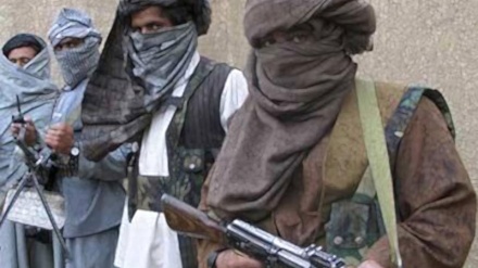 افغانستان: صوبہ تخار کے شہر خواجہ غار پر طالبان کا قبضہ