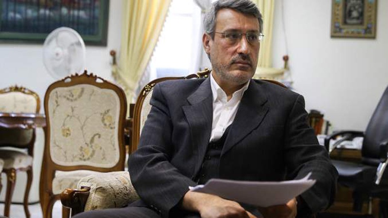 حمید بعیدی نژاد، اسلامی جمہوریہ ایران کے نائب وزیر خارجہ