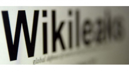 WikiLeaks Azərbaycanla italyan haker şirkəti arasında məxfi yazışmaları yayıb