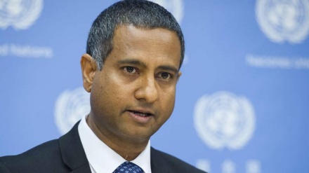 Izvještaj Ahmeda Šehida; Izvještaj s političkim pristupom	