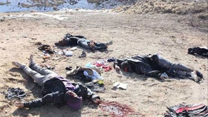 شامی فوج نے لاذقیہ، حلب، دیرالزور اور حمص میں کارروائیاں کر کے دسیوں دہشت گردوں کو ہلاک کیا۔