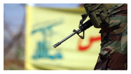 شام میں حزب اللہ کی جنگ استقامت کے دفاع کے لئے ہے: شیخ نعیم قاسم