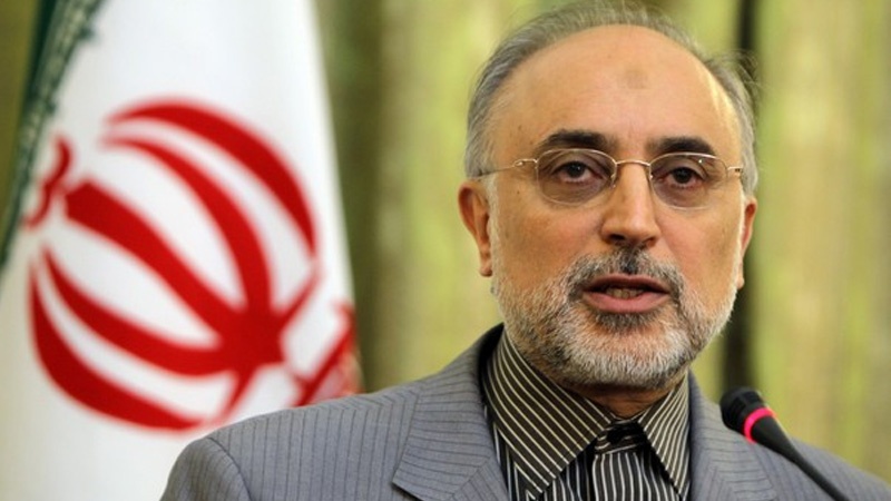 پی ایم ڈی کا مسئلہ یقینی طور پر ختم ہو جائے گا: ایران کے ایٹمی توانائی کے ادارے کے سربراہ علی اکبر صالحی