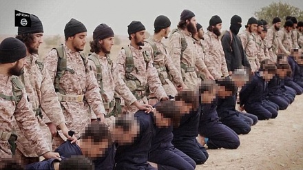 İŞİD-çilər İraq ordusu ilə savaşdan qaçmaq cinayəti ilə edam olunur