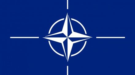 Bakının NATO-nun üzvlüyünə qəbul edilməsi iddiası + Audio