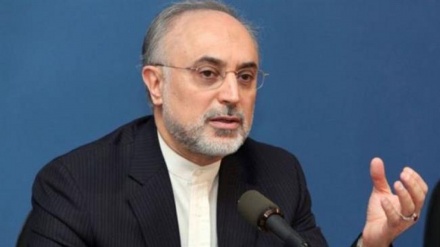 Salehi: İranın nüvə fəaliyyətlərinin əsas məqsədi onun iqtisadiləşdirilməsidir