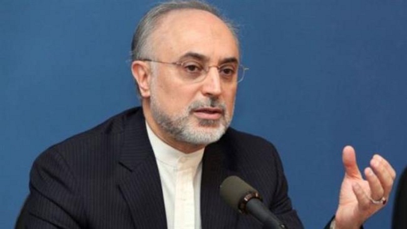 Salehi: İran nüvə sənayesinin iqtisadiləşdirilməsini istəyir 