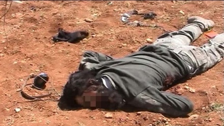 Terrorçular Suriyada ağır tələfat verdilər