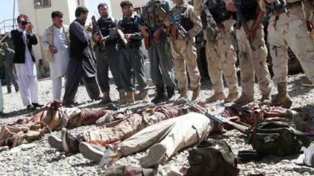 پاکستان: فضائیہ کی بمباری میں دسیوں طالبان ہلاک