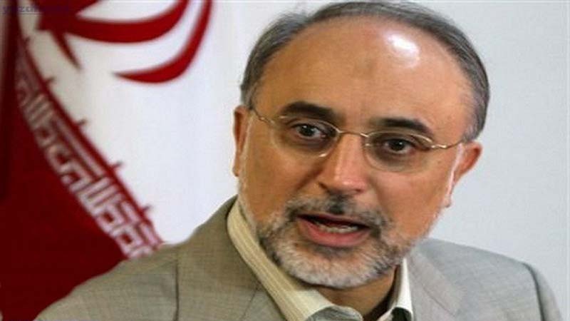 Salehi: Danas ili sutra počinje provedba BARDŽAM-a