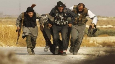 Pevçûna DAIŞ'ê bi terorîstên din ên nêzî Tirkiyê