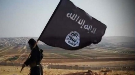 Bir Tacikistan vətəndaşı İŞİD-in emblemini təbliğ etdyi üçün həbsə məhkum edilib