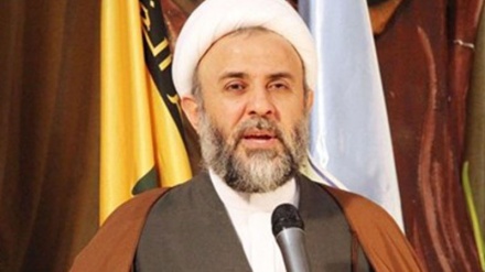 حزب اللہ کے مواقف ہرگز تبدیل نہیں ہوں گے: شیخ نبیل قاووق
