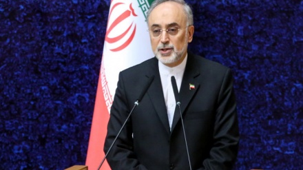 Salehi u Beču: Potvrda odgovornosti Međunarodne atomske agencije