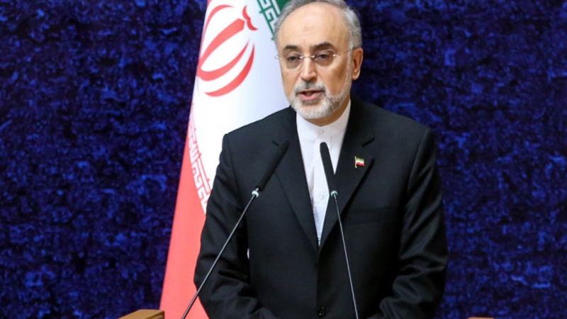 Salehi u Beču: Potvrda odgovornosti Međunarodne atomske agencije