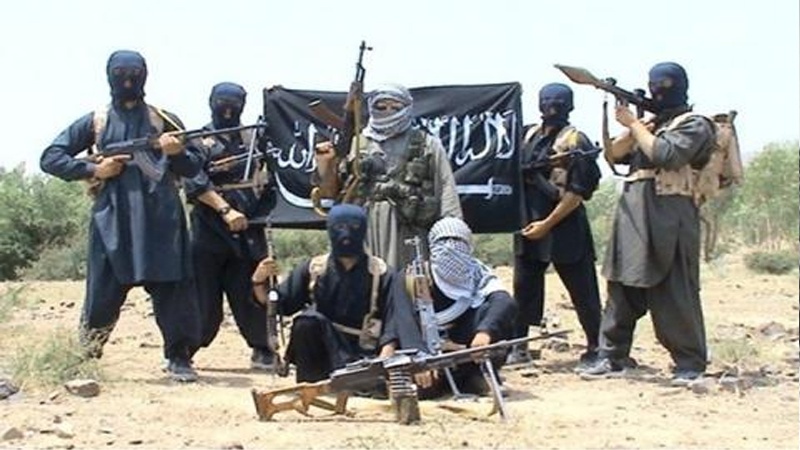 یمن میں سرگرم القاعدہ دہشت گرد، سعودی عرب کے آلہ کار ہیں۔ یمن کے ذرائ‏ع ابلاغ