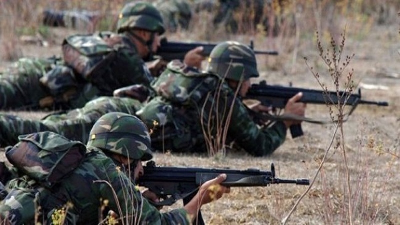 Du hezar ji endamên PKK`ê li Tirkiyê hatine kuştin yan birîndar bûne
