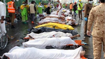 Katastrofa prestolonasljednika 