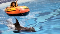 Teheran: Dolphinarium (akvarijum za delfine) kod tornja Milad