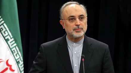 Salehi: Veoma je čvrst dokument redizajniranja reaktora Arak sa pravnog gledišta