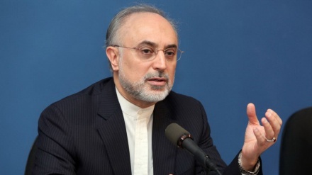 Salehi: Implementacija BARDŽAM-a počinje u ponedjeljak