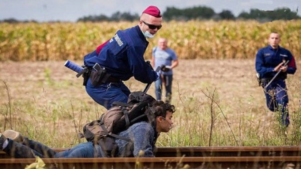 Oštre reakcije HRW prema načinu pristupa Mađarske prema izbjeglica 