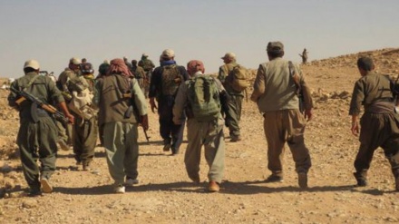PKK'ê 20 karkirên revandî azad kirin