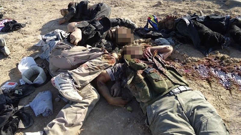 شام میں فوج اور رضاکار فورس کا آپریشن، درجنوں دہشت گرد ہلاک