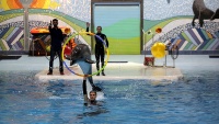 Teheran: Dolphinarium (akvarijum za delfine) kod tornja Milad