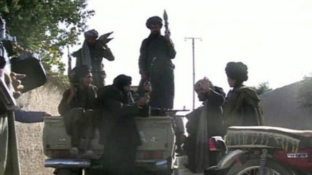 افغان طالبان کا صوبہ پکتیا کے ایک شہر پر قبضے کا دعوی