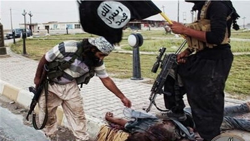 Terrorçular İraqın şimalında yeni cinayət törədiblər