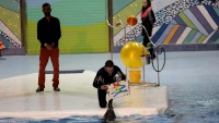 Teheran: Dolphinarium (akvarijum za delfine) kod tornja Milad