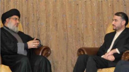 حزب اللہ کے سربراہ اور ایران کے نائب وزیر خارجہ کے درمیان صلاح و مشورہ