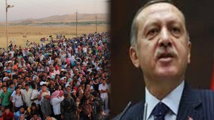 Erdogan: Mesela penaberan bi kuştina wan di avên azad da safî nabe 