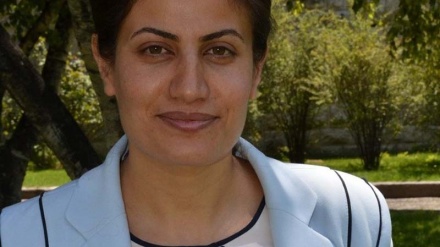 Raporek li bara Rewşa Cizîrê li dema rewşa awarte ji zarê parlemantera HDP'ê