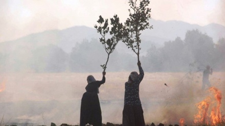 Tirkîyê dîsa agir berda erdê û daristanên kurdan 