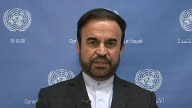 آئی اے ای اے میں ایران کے نمائندے رضا نجفی