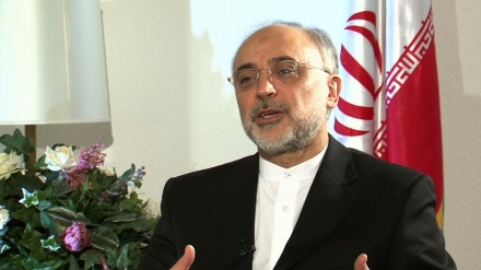 ایران کی ایٹمی سرگرمیوں کا طویل مدت پروگرام آئی اے ای اے کو بھیجا جائے گا: علی اکبر صالحی