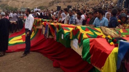 Cizîrê cangoriyên xwe veşartin