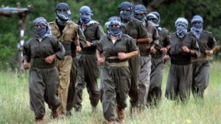 Daxwaza bi dehan kes ji eşîrên Tirkiyê ji PKK