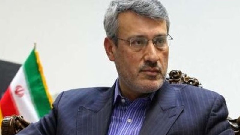 اسلامی جمہوریہ ایران کے نائب وزیر خارجہ حمید بعیدی نژاد